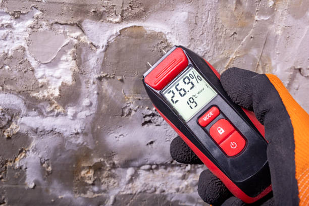 Best Commercial Mold Removal  in Groton, SD