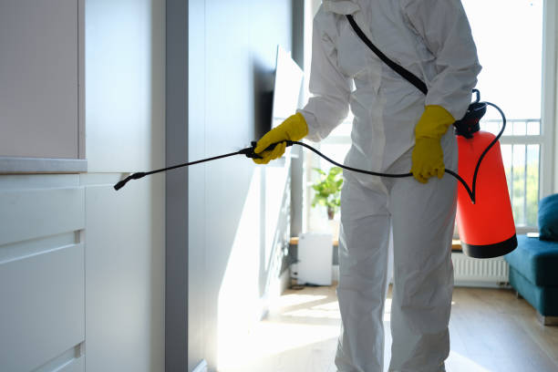 Best Mold Testing  in Groton, SD