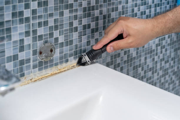 Best Home Mold Removal  in Groton, SD