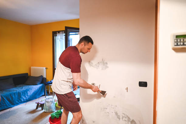 Best Residential Mold Removal  in Groton, SD