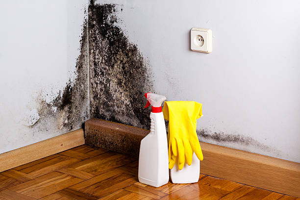 Best Crawl Space Mold Removal  in Groton, SD